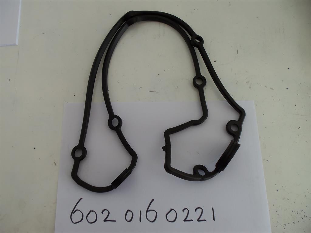 6020160221