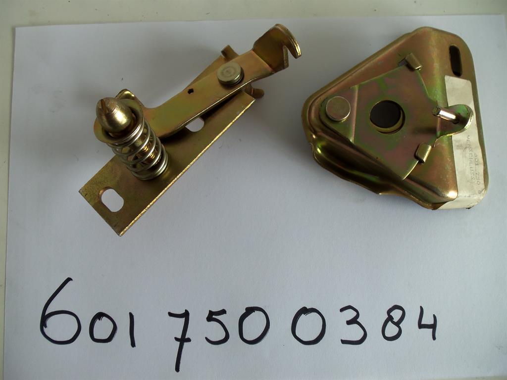 6017500384