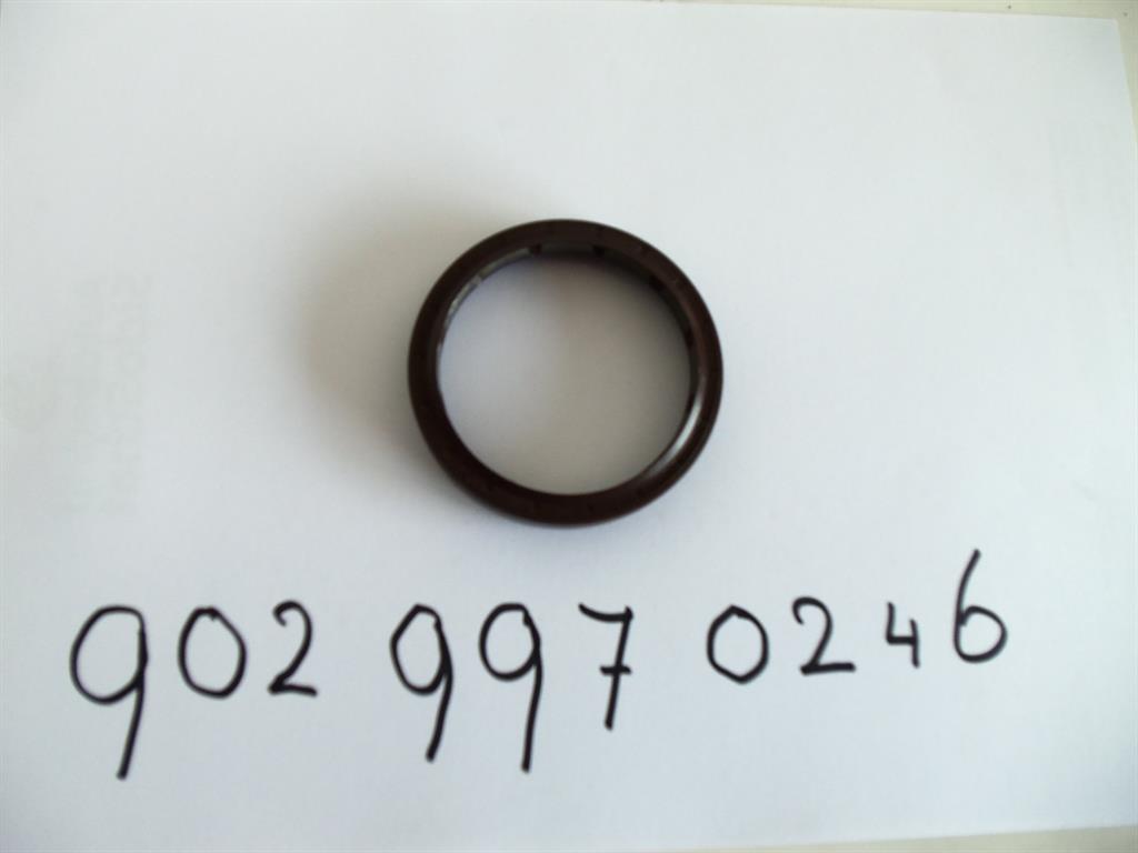 9029970246