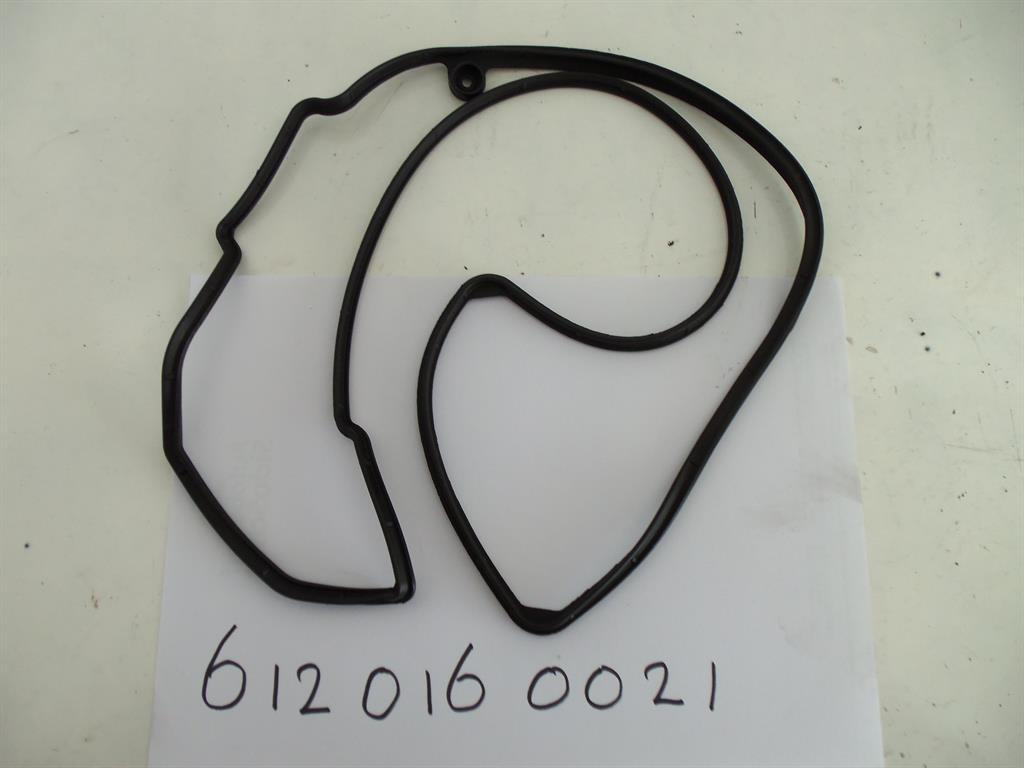 6120160021