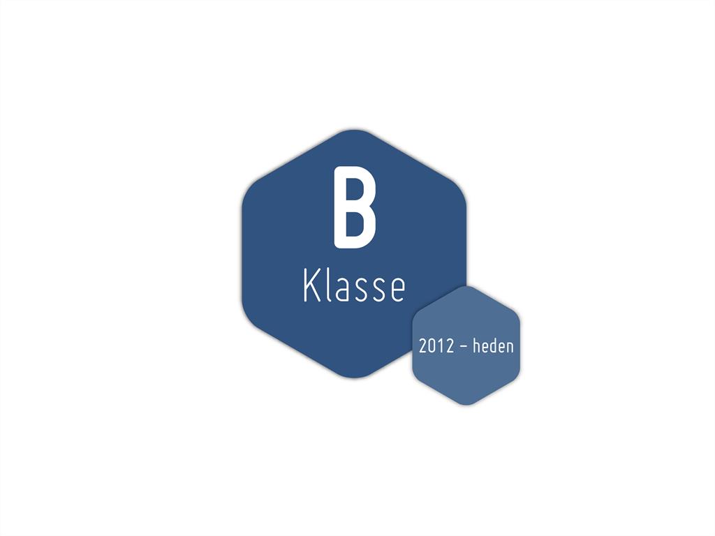Onderhoudbeurt B-Klasse  (2012 - heden)